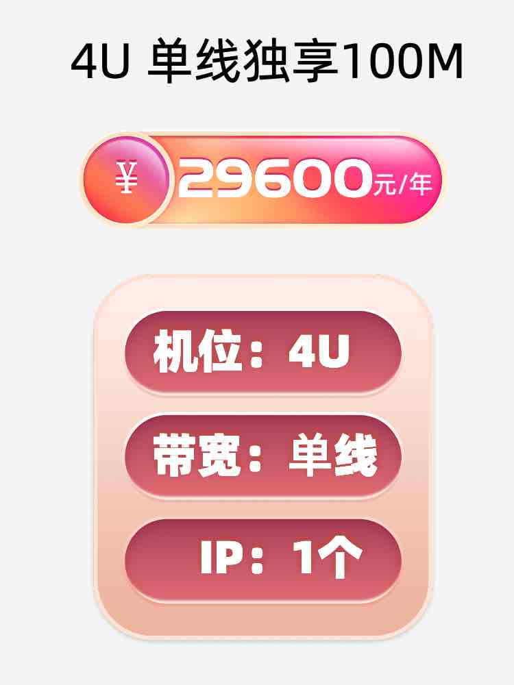 上海单线100M服务器托管价格