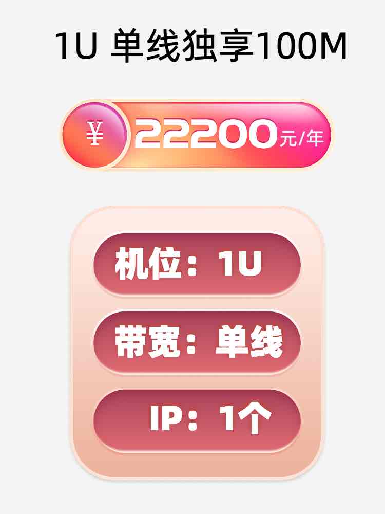 上海单线100M服务器托管价格